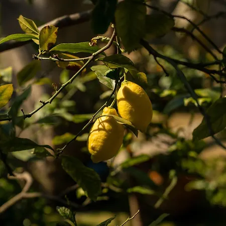 Hotel San Vigilio 3*